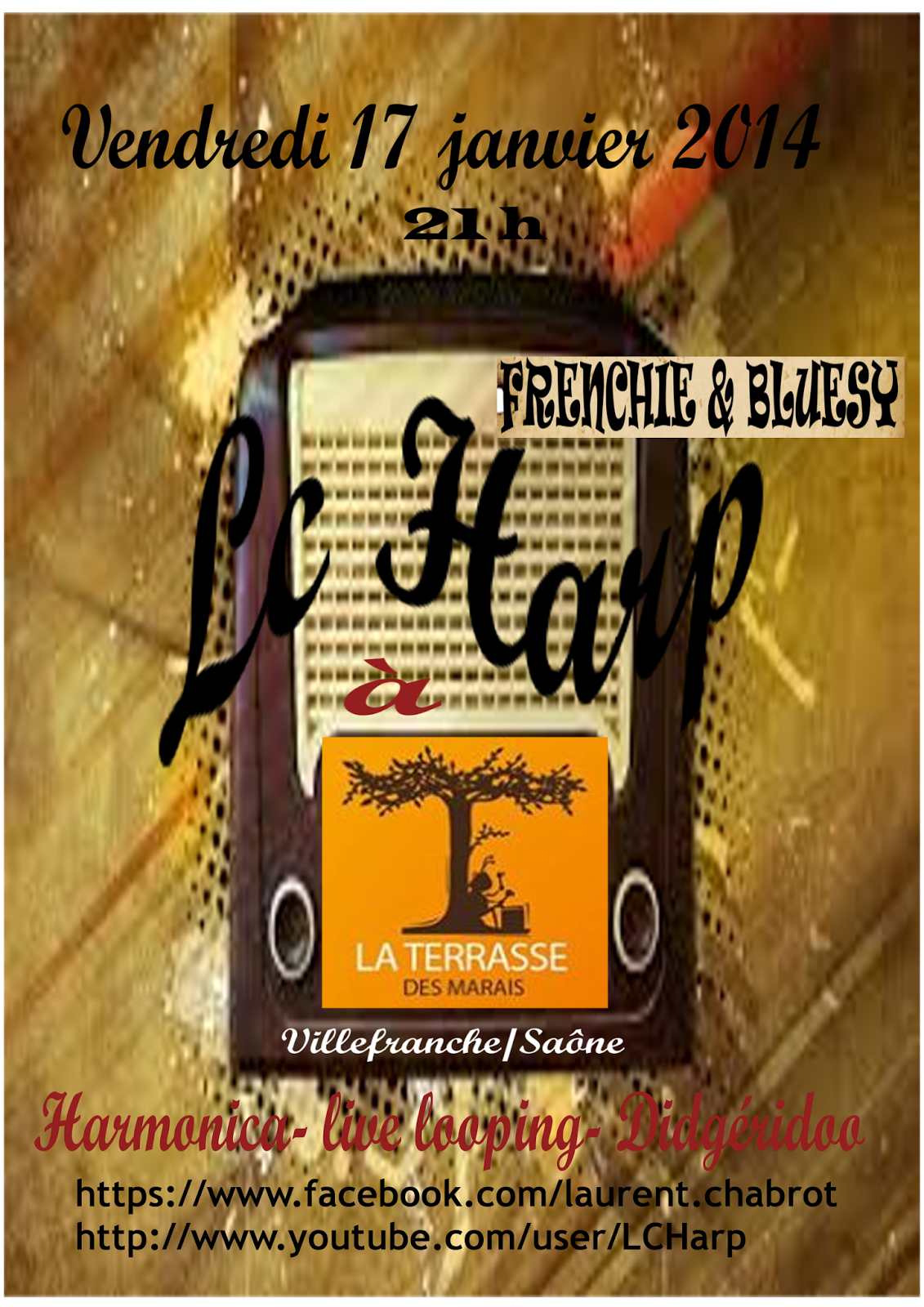 LC HARP Cours et stages d'HARMONICA DIATONIQUE sur Lyon et sa région