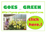 My Green Blog