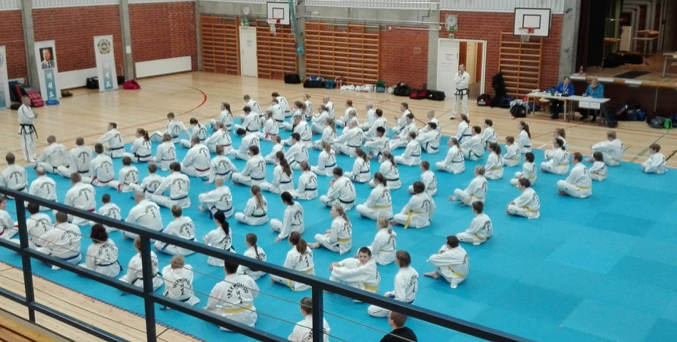 taekwondo leiri harrastus tkd