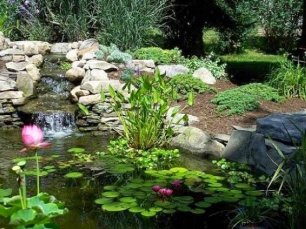 A relaxing garden and backyard waterfalls