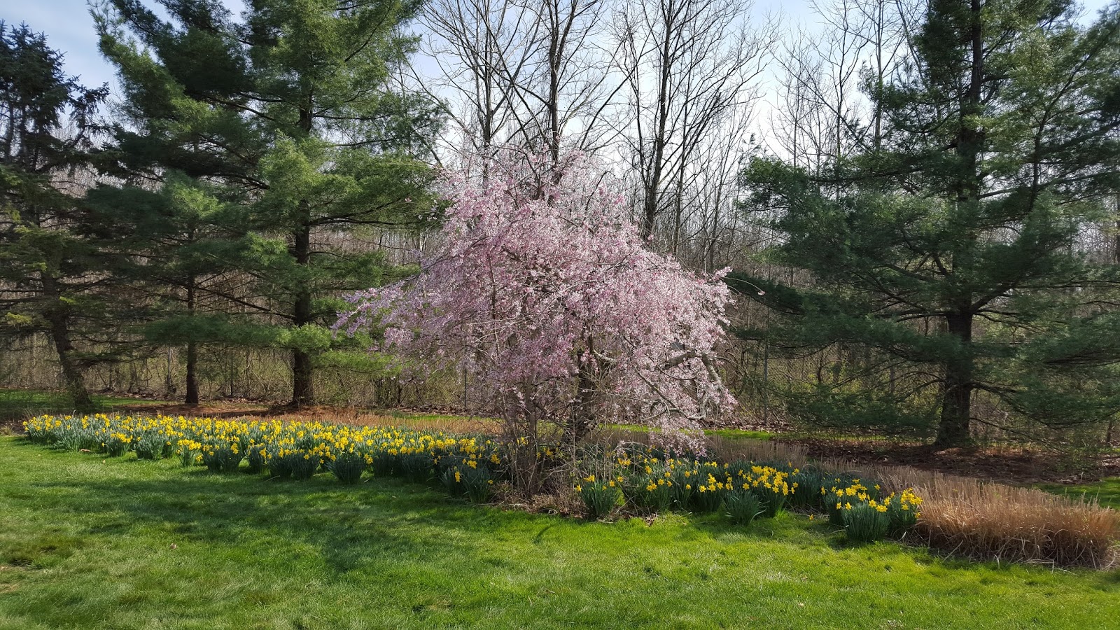 Bruce And Marysue S Thoughts And Adventures A Visit To Inniswood