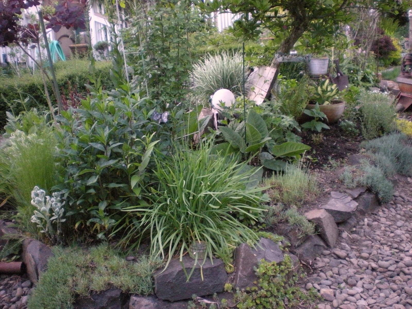 Gardening With Grace Holy Freaking Cow