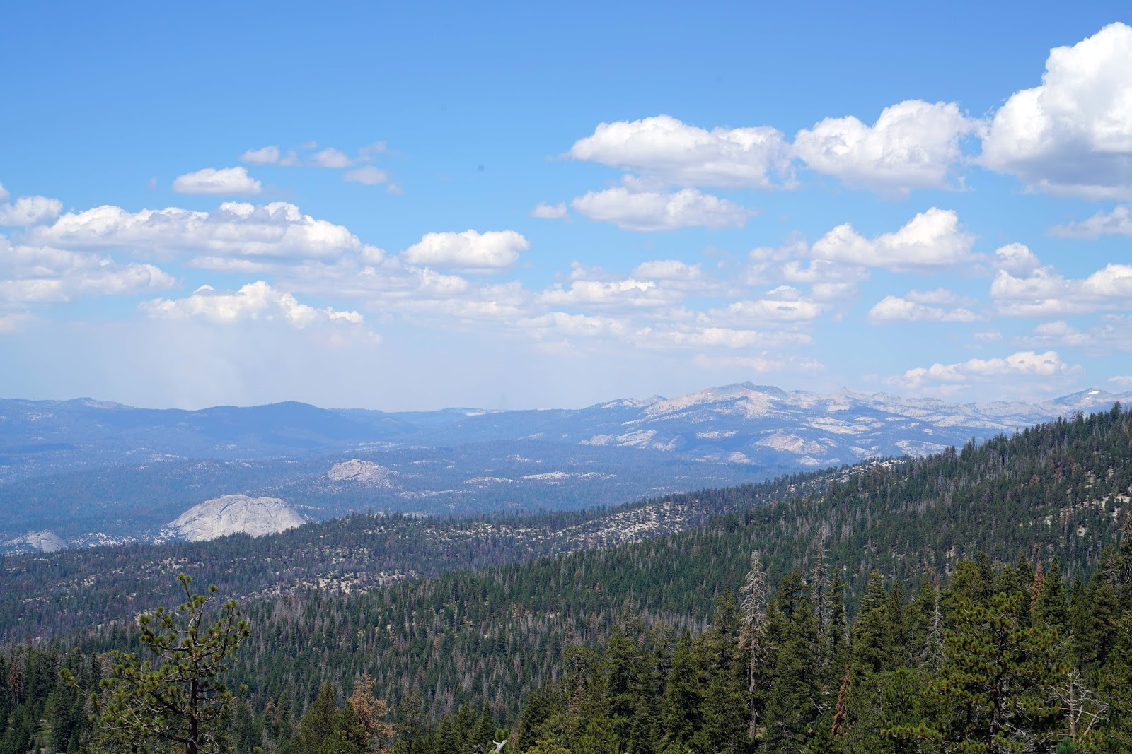 Mid Sierra Musings Sierra National Forest Mount Tom Lookout