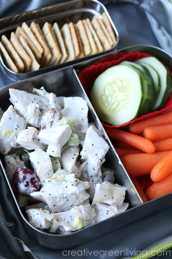 10 Gluten Free Bento Box Lunch Ideas for School, Work or On the Go