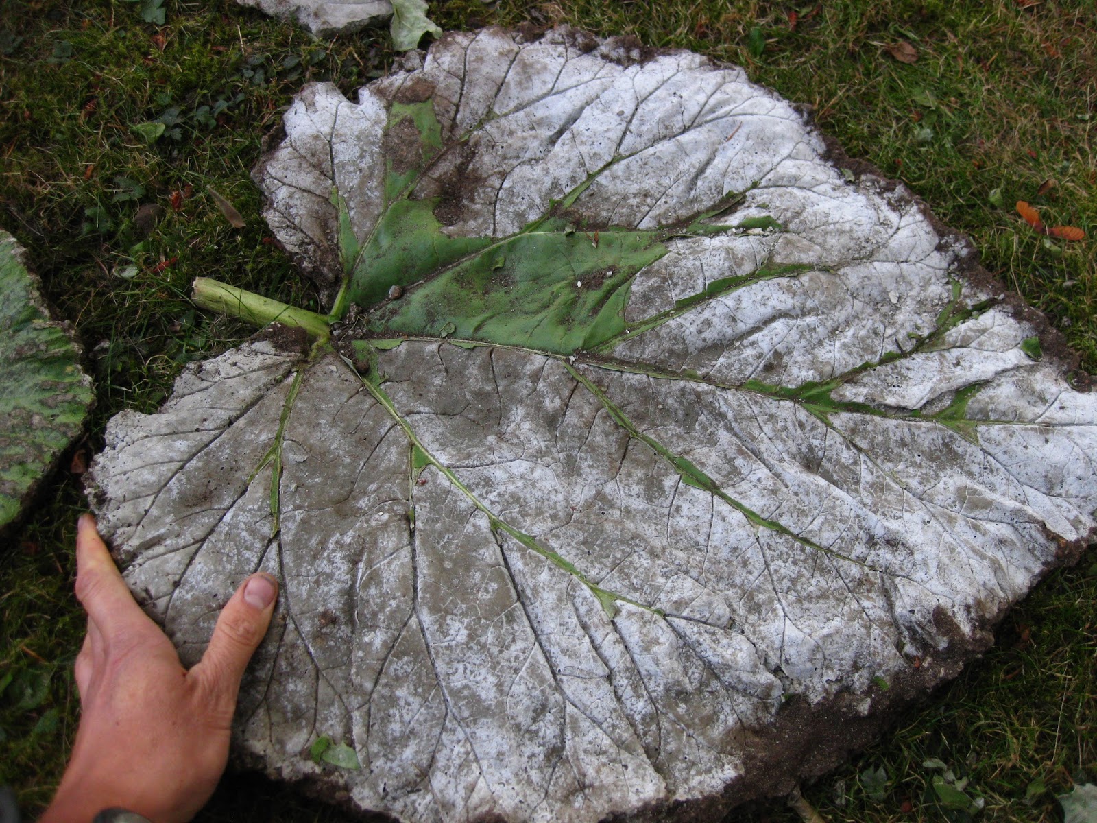 The Bicycle-Gardening Chronicles...: Leaf Stepping Stones: Experiments....