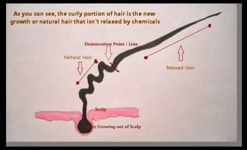 Intro To Transitioning 102a Breakage Vs Shedding