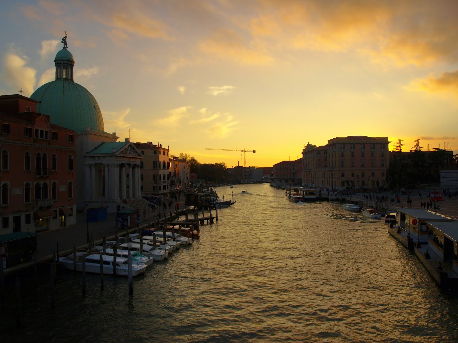 The Lingua File from TLF Translation: Why I Love Italian, Italians, and