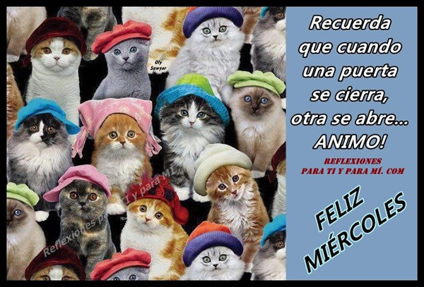 Afbeeldingsresultaat voor otra vez feliz miercoles