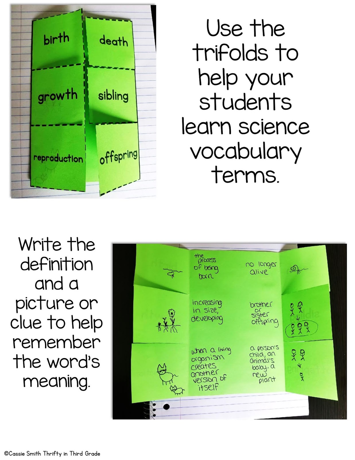 Inheritance and Variations of Traits: Life Cycles and Traits 3rd Grade