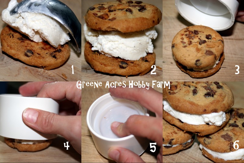 Greene Acres Hobby Farm Make Your Own Ice Cream Cookie Sandwich Maker