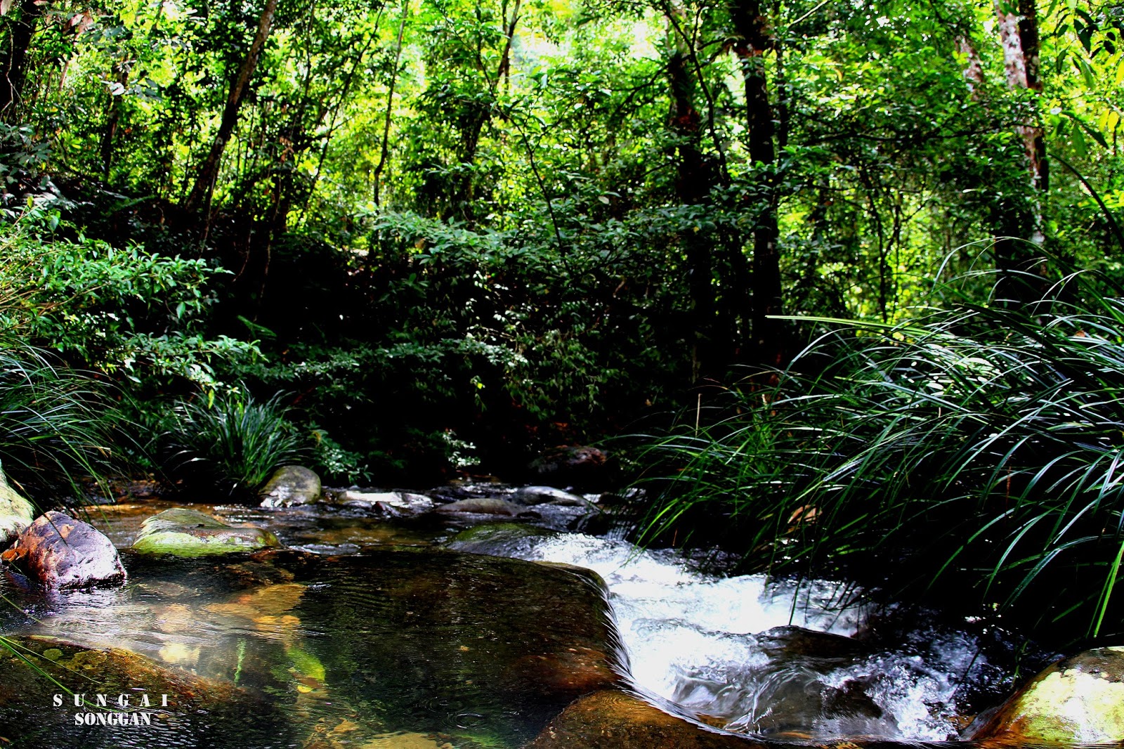 SUMBER AIR BERSIH DAN ENERGI LISTRIK | Batu Sanggan - Rimbang Baling