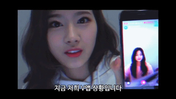 서로한테 츤츤 거리는 츤데레 사나 쯔위