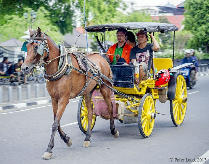 Kliping Gambar Alat Transportasi Tradisional dan Modern - Tradisi