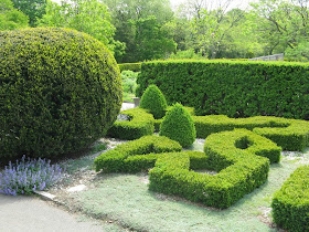 Royal Botanical Gardens clipped boxwoods Laking  knot garden by garden muses-not another Toronto gardening blog