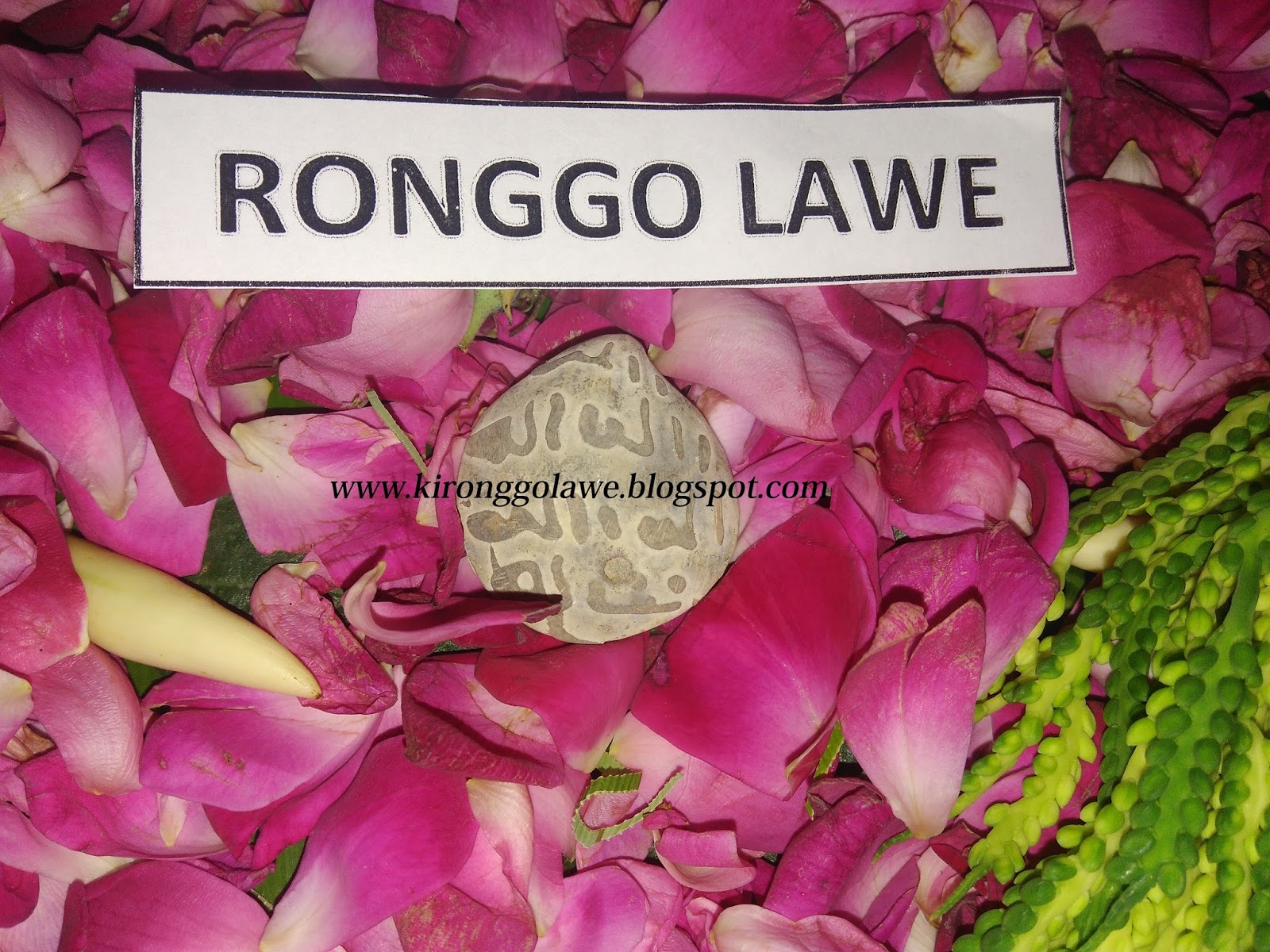 Alamat Dukun Surabaya Dukun Pelet Surabaya Paranormal