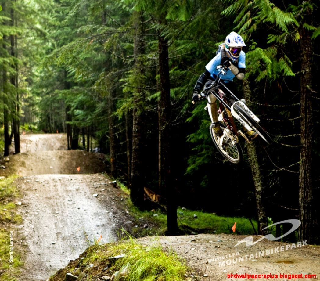 Mountain bike downhill wallpapers  Life cicles AVI   Taringa