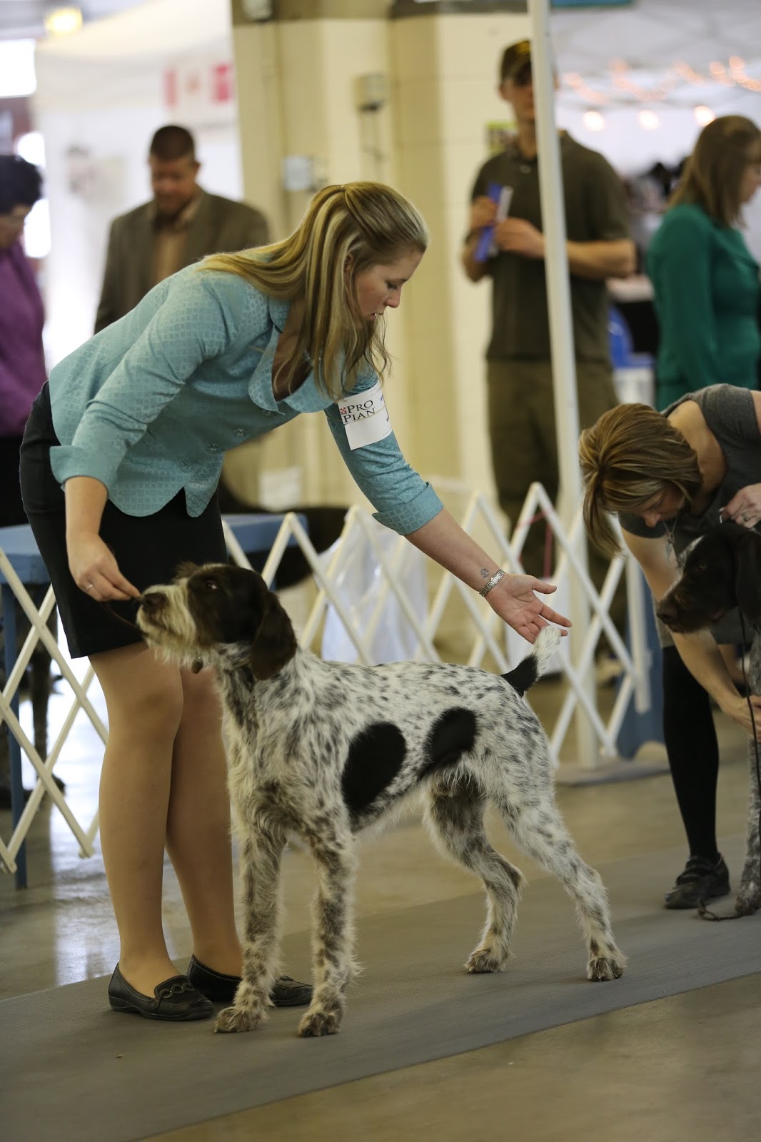 Go Sioux Go July 2013