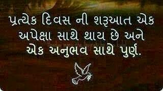 gujarati quotes on dikri gujarati inspirational quotes gujarati quotes