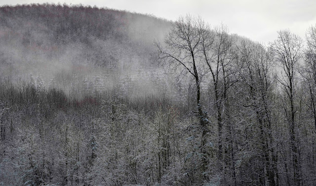  20 photos taken at 421mm