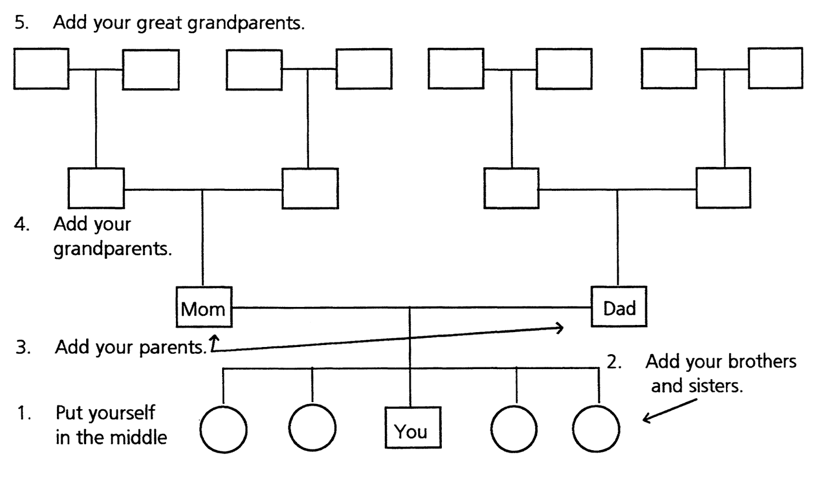 Remedia Publications Family Tree Project Teaching Students About