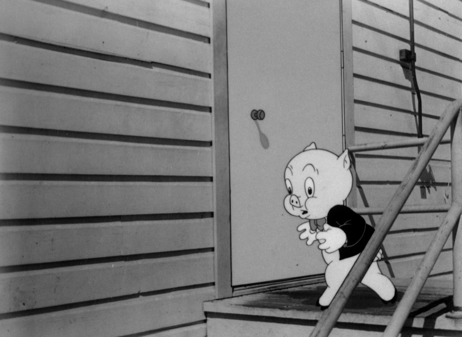 Looney Tunes Pictures You Ought To Be In Pictures looney-tunes-pictures-you-ought-to-be-in-pictures