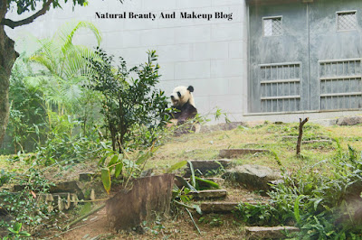 Destination - MACAU, Day 2, Seak Pai Van Park,Giant Panda Pavilion, Coloane on  Natural Beauty And Makeup Blog