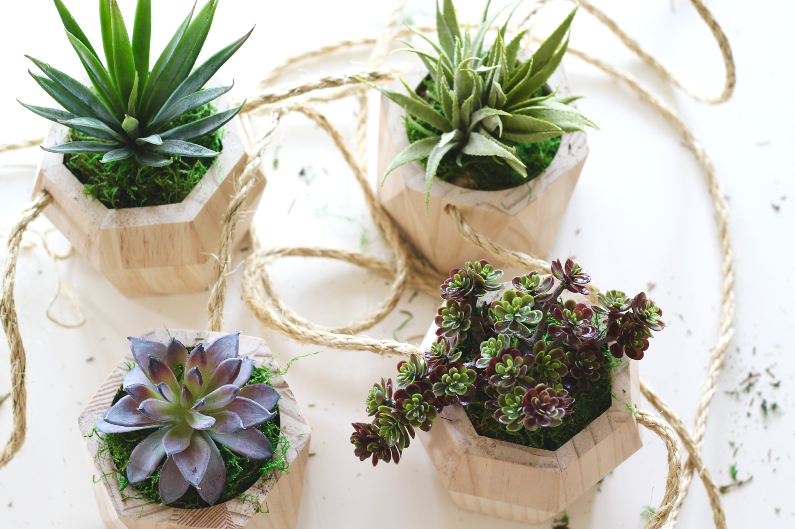 Hanging Wooden Planters Sarah & Nick