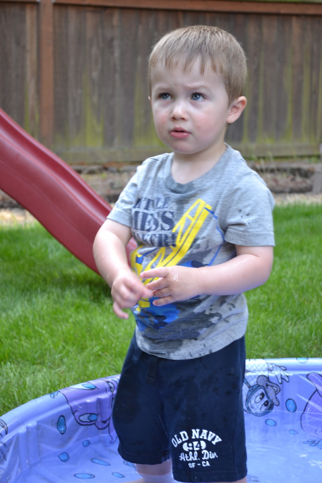 Douglas Family News Kiddie Pool Fun