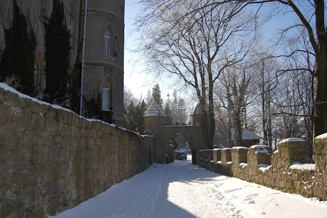 DSC_7398.JPG