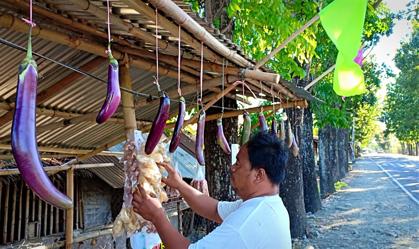 mybeautifulILOILO Showing Eggplant Pride for the 3rd Talong Festival
