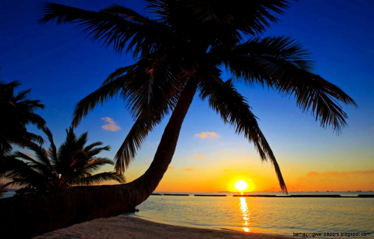 Tropical Beach Sunrise  Desktop Backgrounds for Free HD Wallpaper