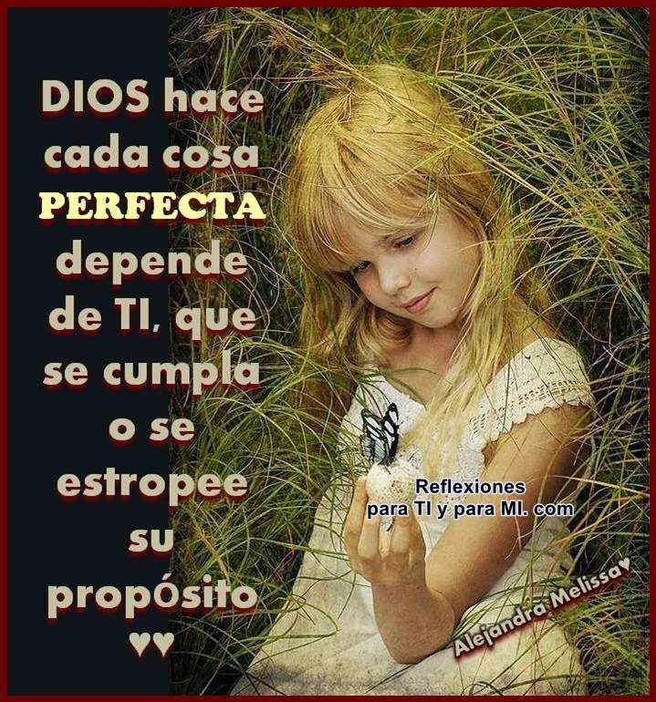 Reflexiones para TI y para MÍ: * DIOS hace cada cosa PERFECTA...