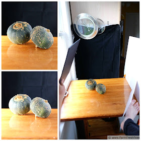collage photo showing behind the scenes, how to photograph buttercup squash on a sunny day
