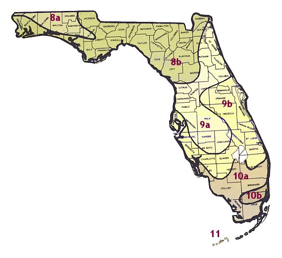 18+ Planting Zones Florida - SharlotEvann