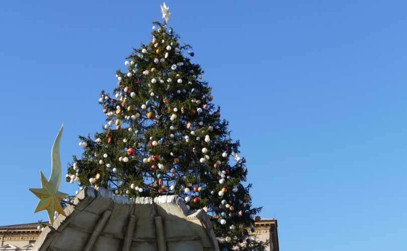TradCatKnight: Catholics shocked that Vatican Christmas tree has no Christian symbols