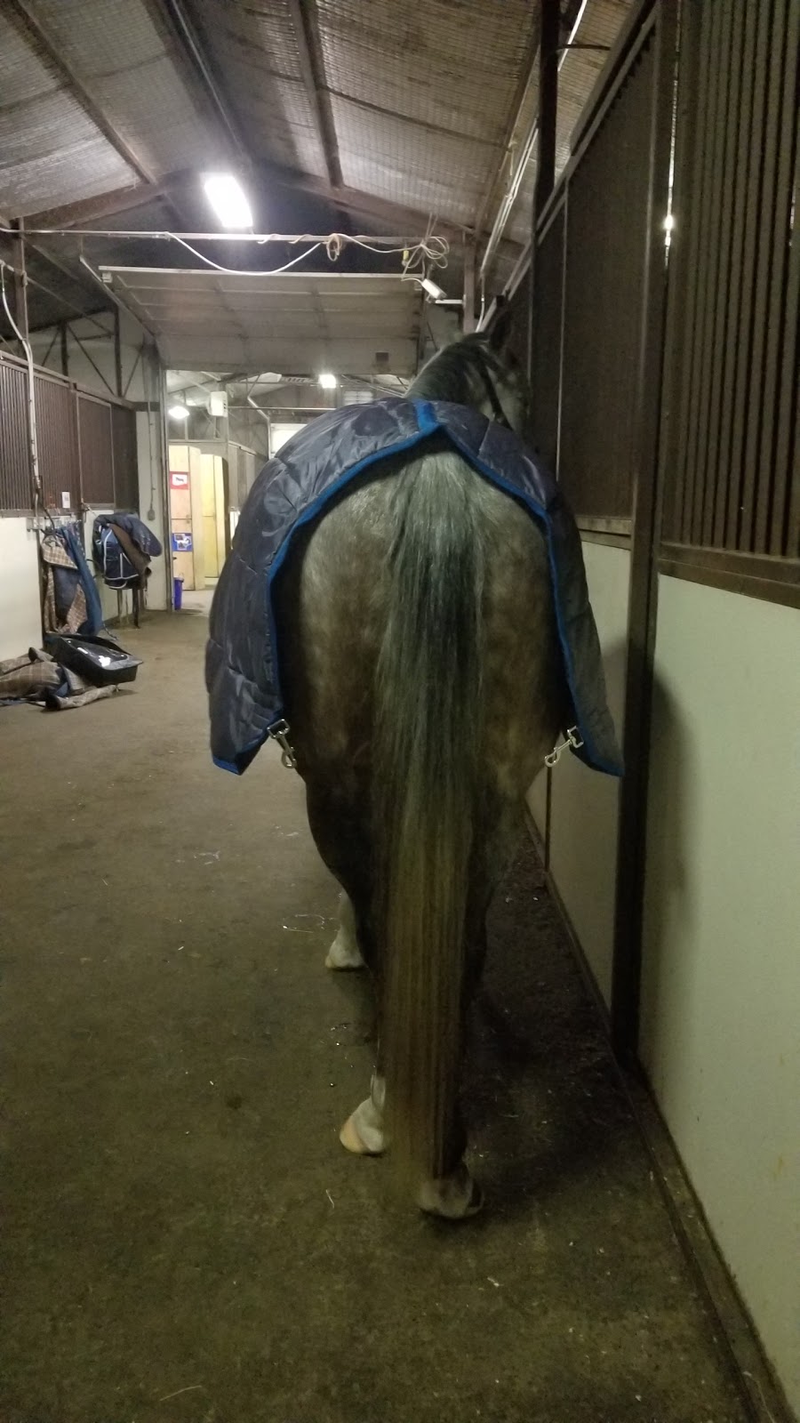 Gray Flannel Horses Greenhawk Shedrow North Combo Turnout Blanket