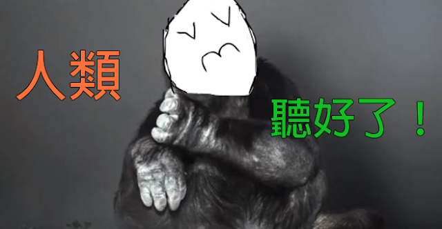 這隻Koko大猩猩用手語表達的訊息讓地球上的人類都慚愧了！這影片看到10秒就讓我感歎了……