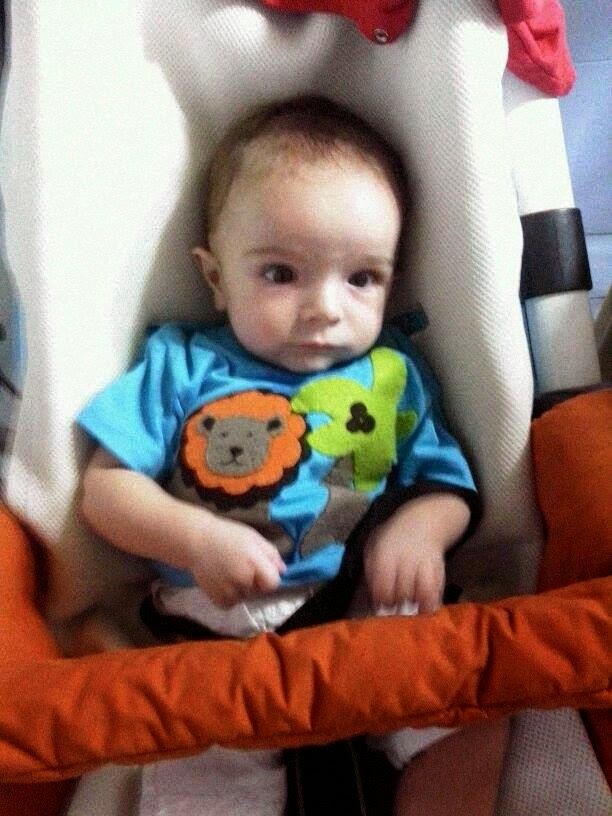 Camiseta infantil león y palmera