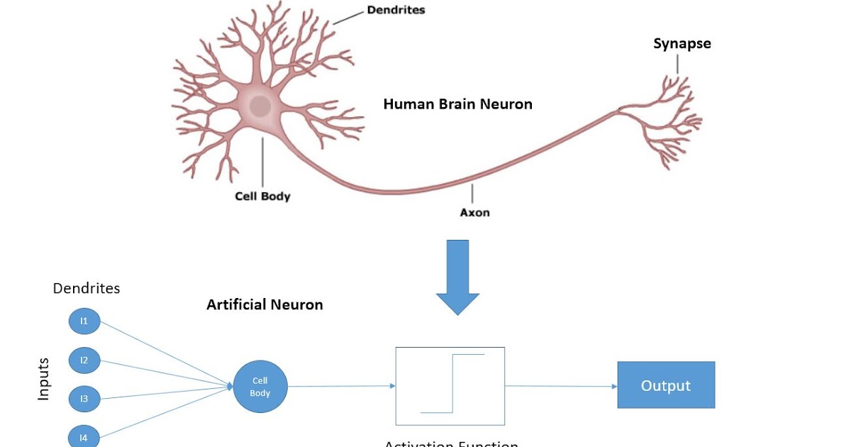 What is neuron and artificial neuron in deep learning? MPLSVPN