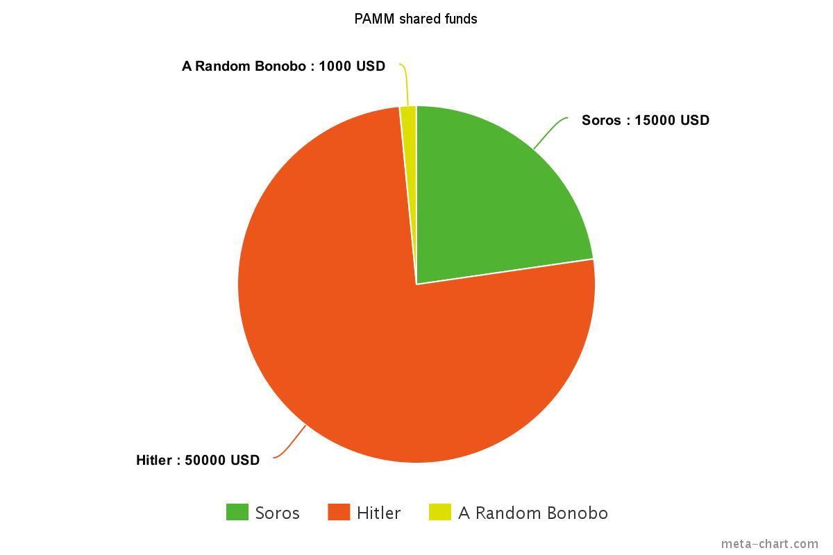Forex fund investors