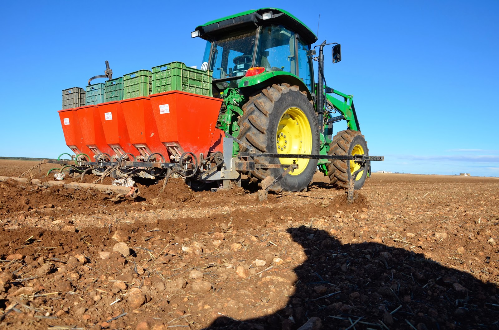 Garlic Mechanical planter