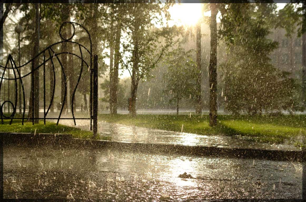 Парк пасмурно. Дождь на улице. Дождливый парк. Парк в дождливый день. Парк дождь.