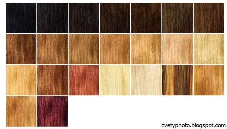 Натуральные цвета это какие. Палитра цветов волос. Оттенки волос палитра. Цветовая палитра натуральных волос. Палитра цветов волос натуральных.