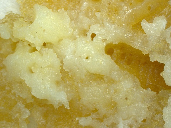 McDonald's Chicken McNuggets found to contain mysterious fibers, hair-like structures; Natural News Forensic Food Lab posts research photos, video
