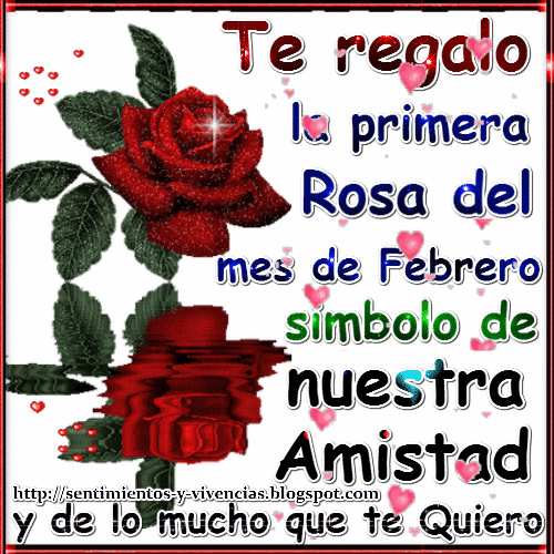 Resultado de imagen de primera rosa del mes de febrero"