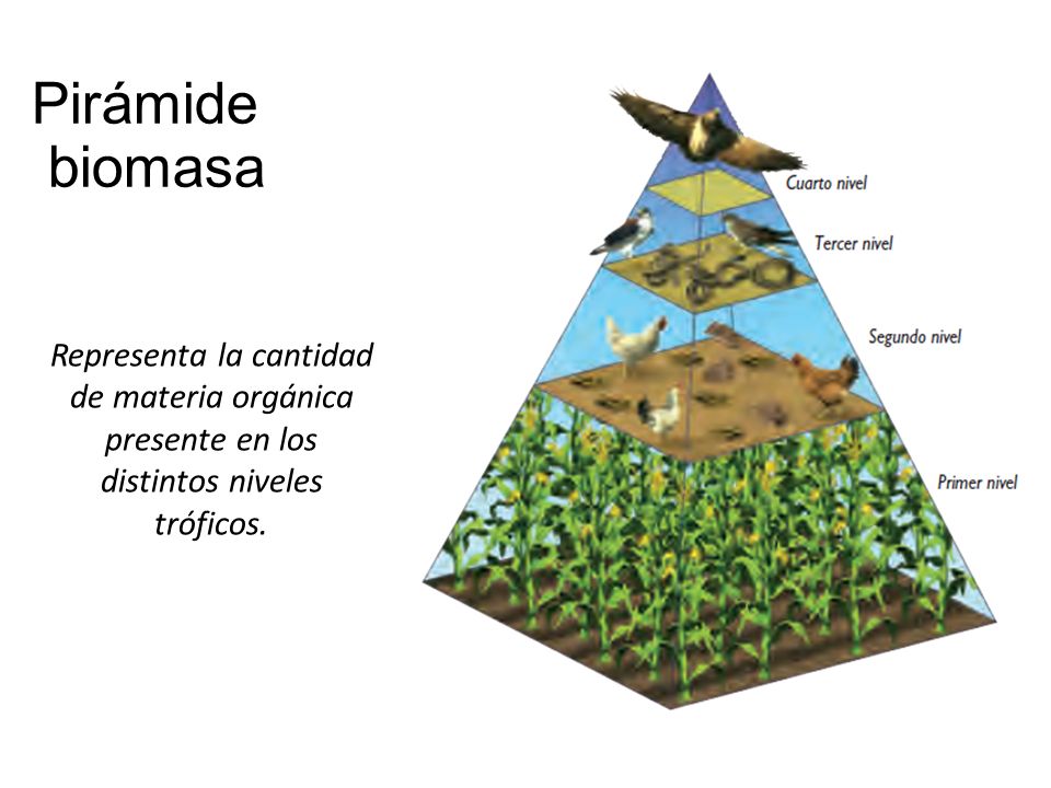Dinamica Ecologica 2017 Dinamica Ecologica 2017