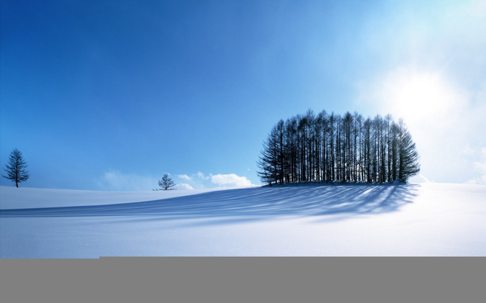 Wallpapers, Urdu Books, Softwares: Desktop Wallpapers