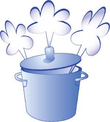 pressure cooker under exploding job explosive handle did care