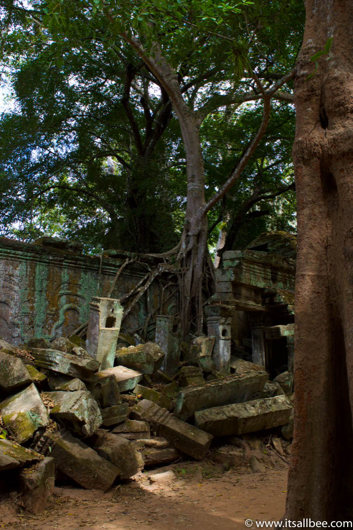 Tips for exploring Ta Prohm, Cambodia's famous temple aka The "Tomb Raider" Temple. Pictures to illustrate why this is a must see temple in Siem Reap. #trip #traveltips #asia #thingstodo #adventure Tips for exploring Ta Prohm, Cambodia's famous temple aka The "Tomb Raider" Temple. Pictures to illustrate why this is a must see temple in Siem Reap.