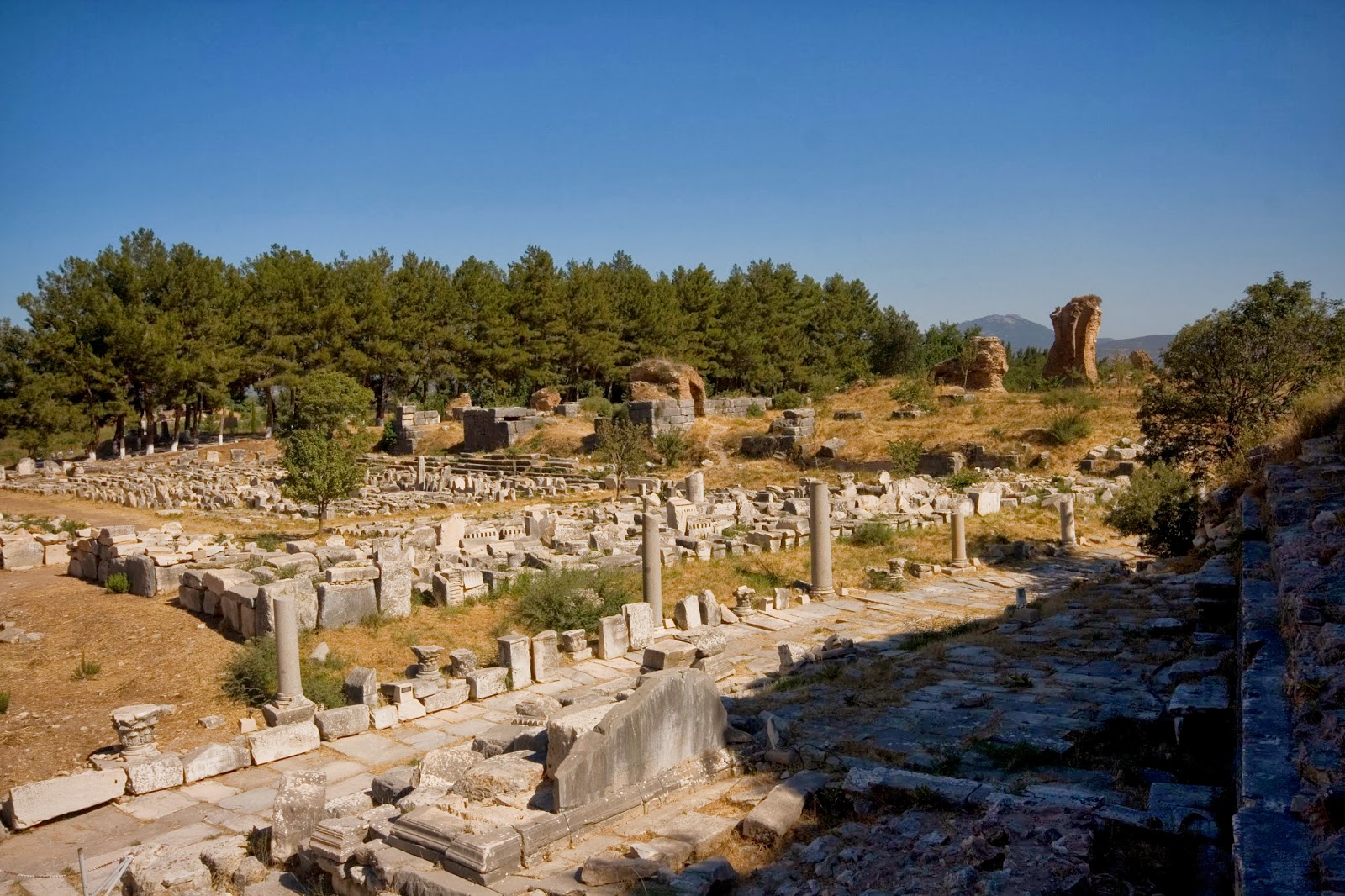 Museo Arqueológico de Éfeso, Kusadasi, Turquía. Qué ver y hacer